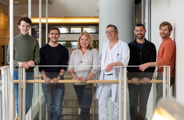 The PROVIZ team at St. Olavs Hospital